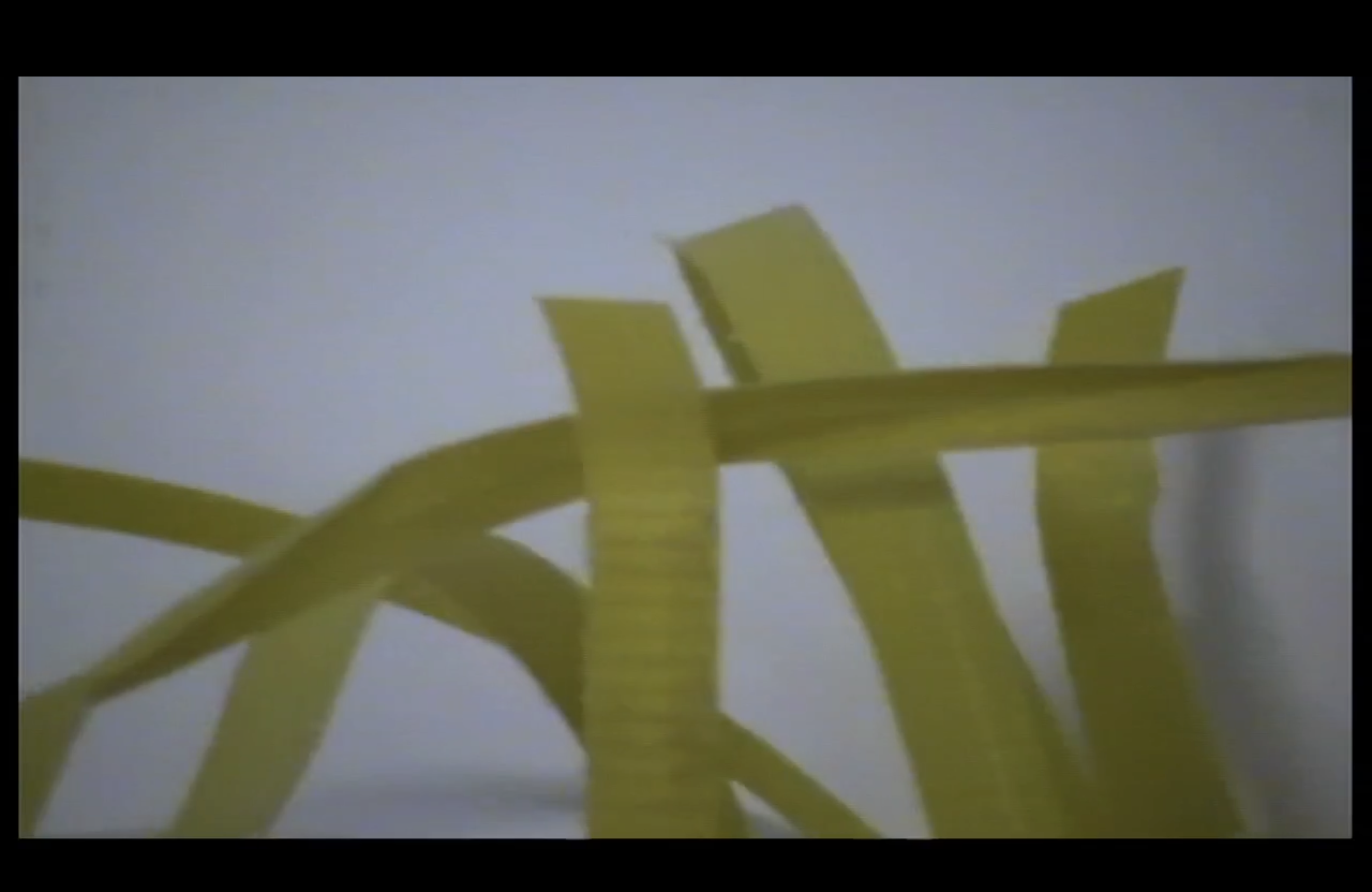 Ricardo Cartaxo Benrós Monteiro